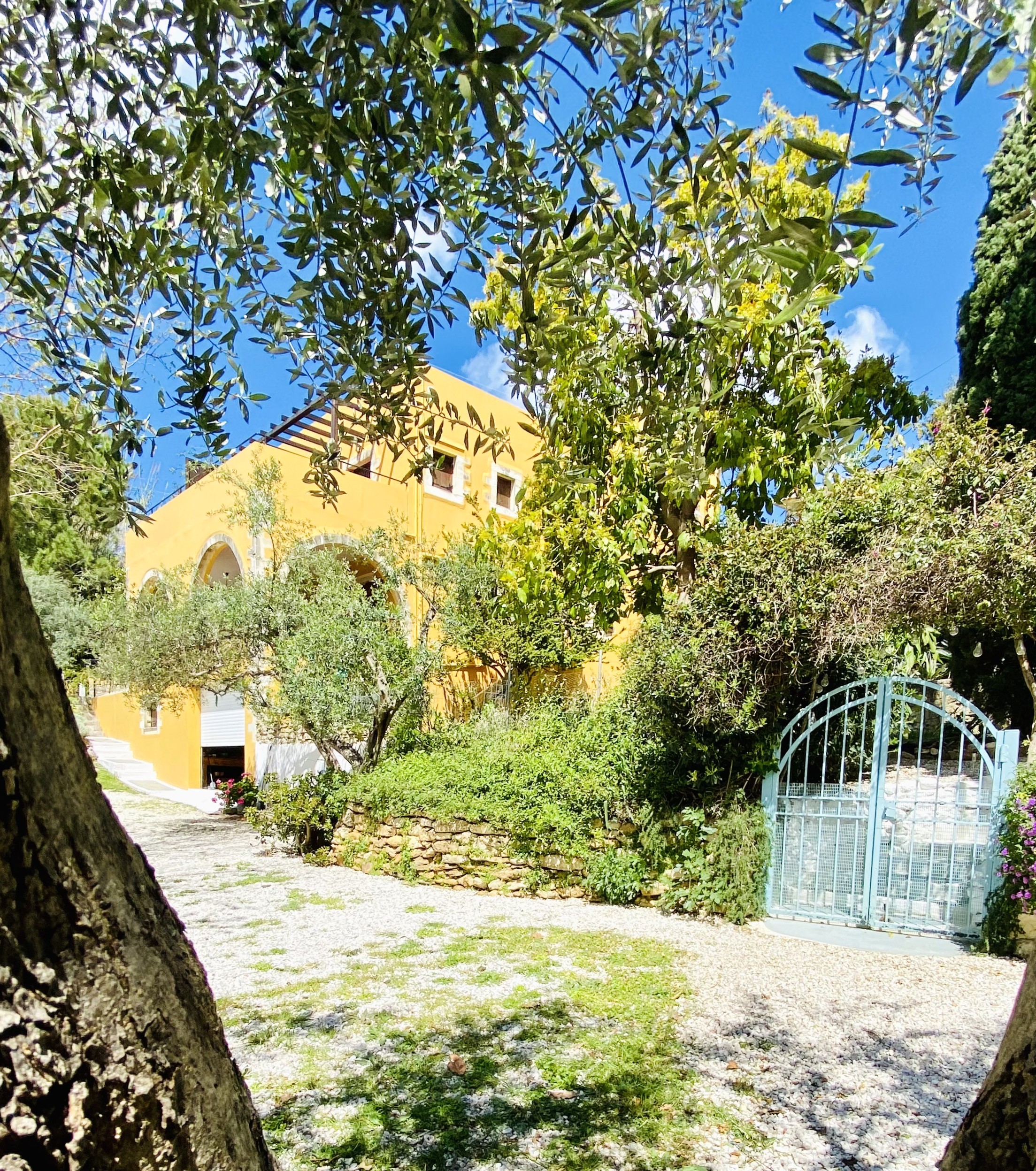 Bagordakis and Partners