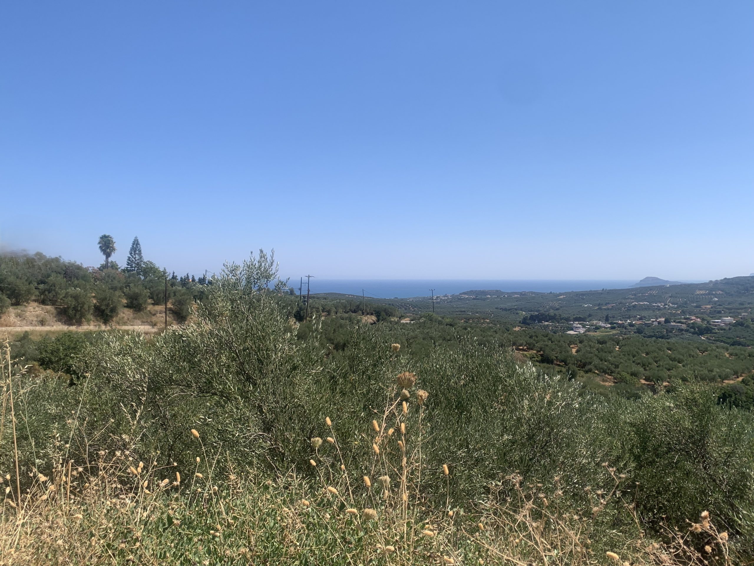 Bagordakis and Partners