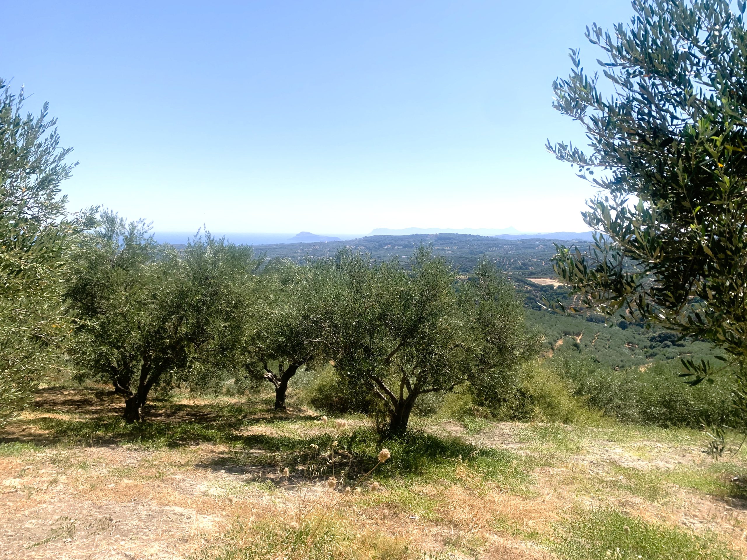 Bagordakis and Partners