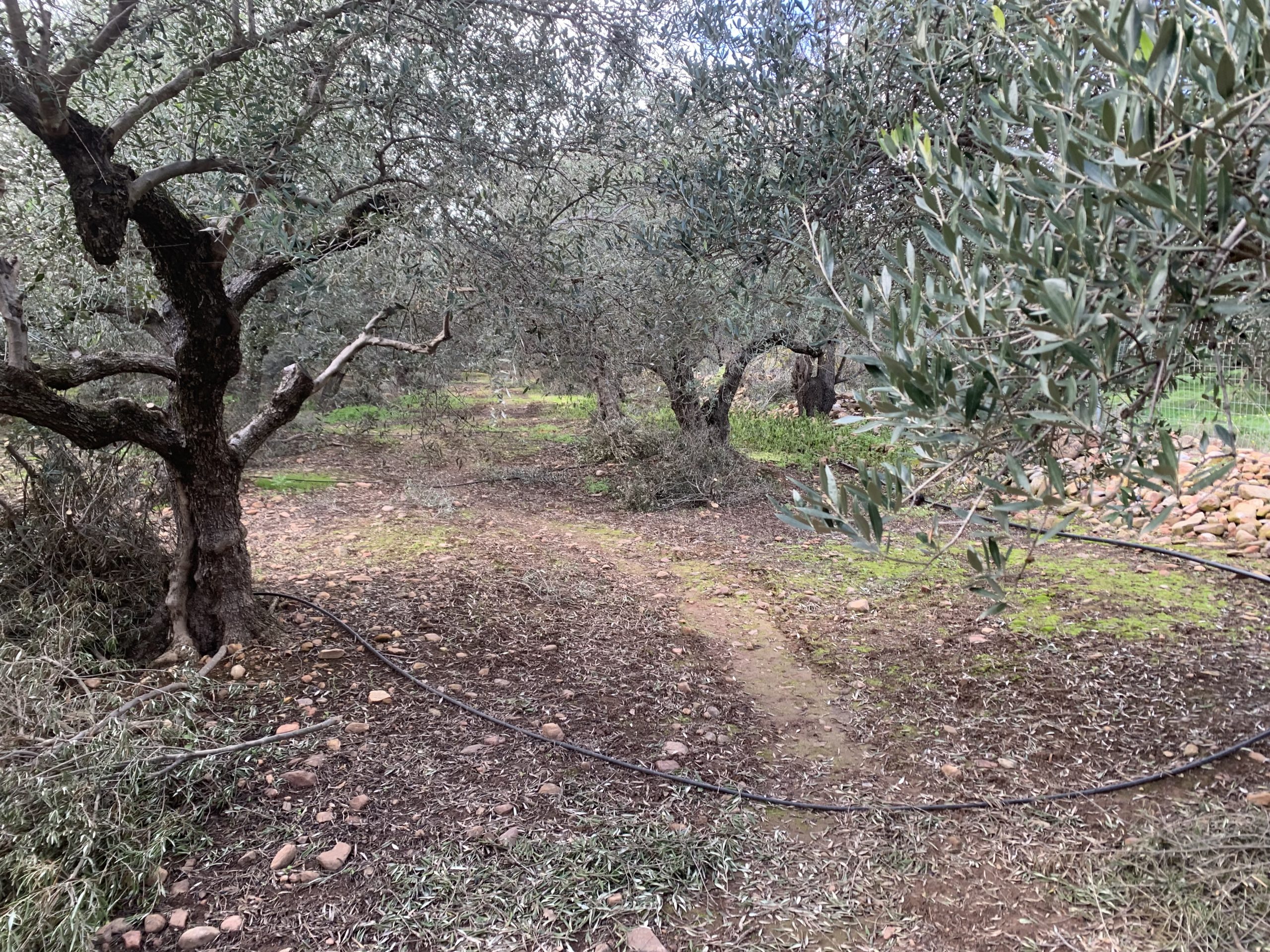 Bagordakis and Partners