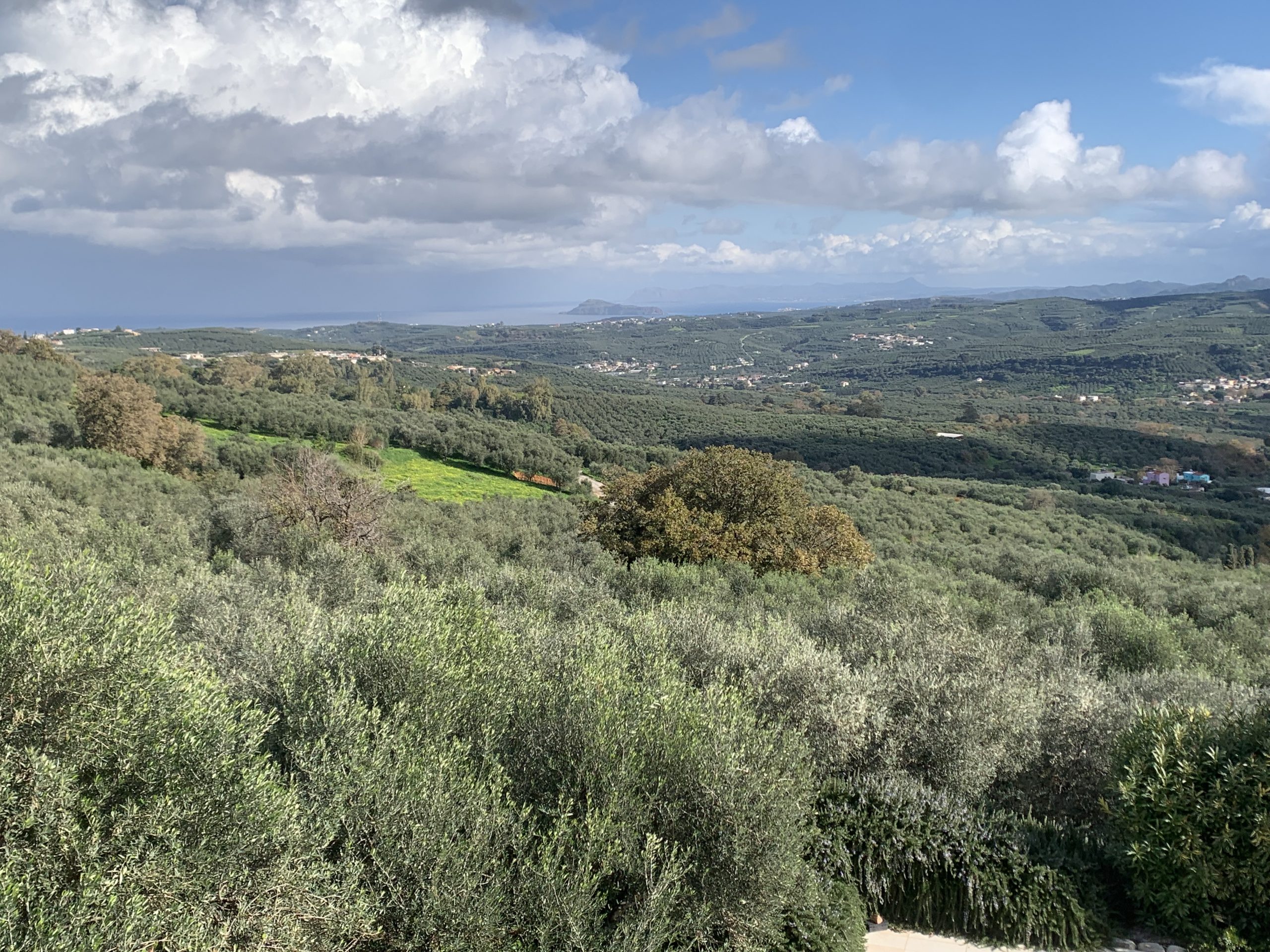 Bagordakis and Partners