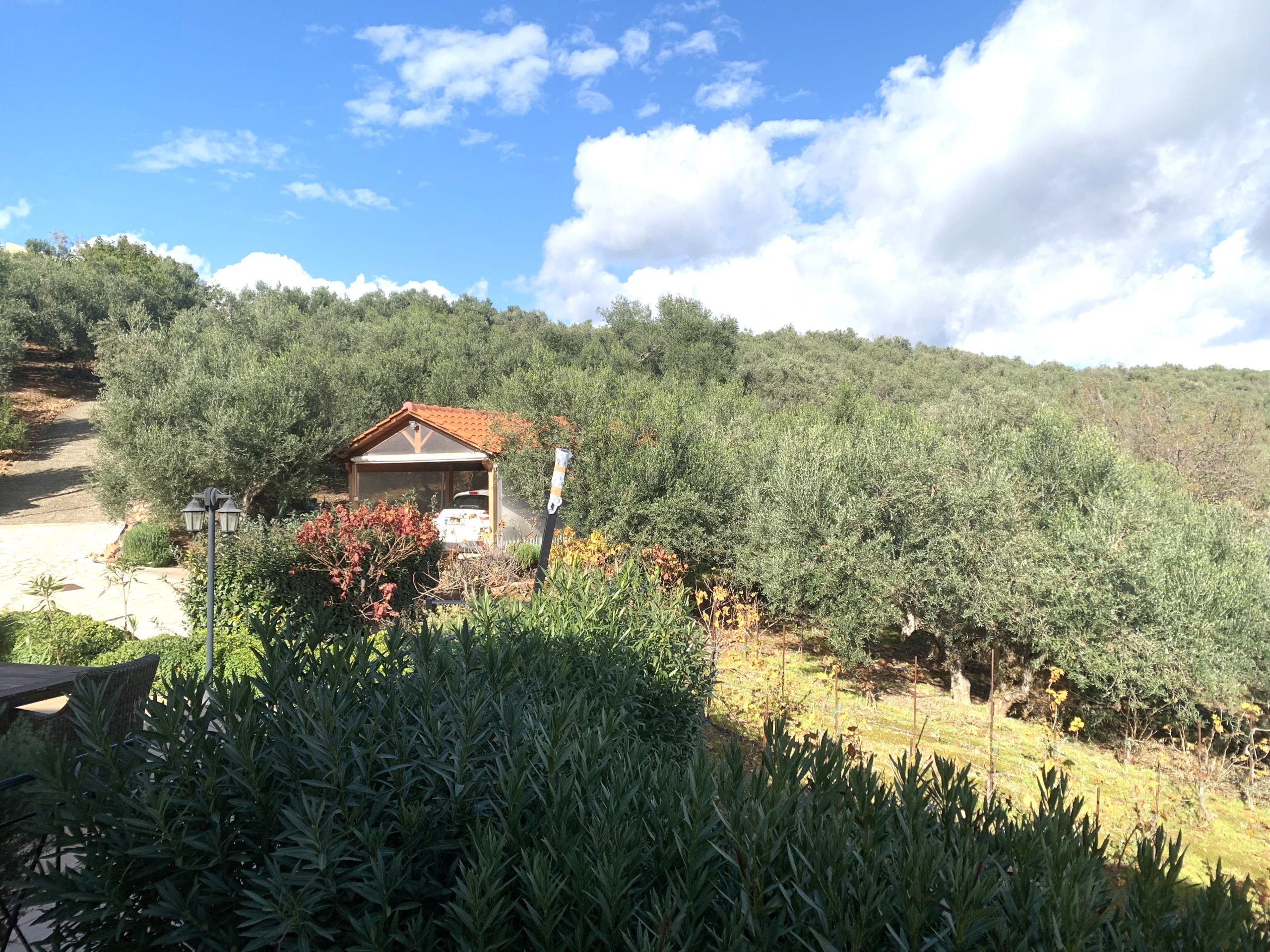 Bagordakis and Partners