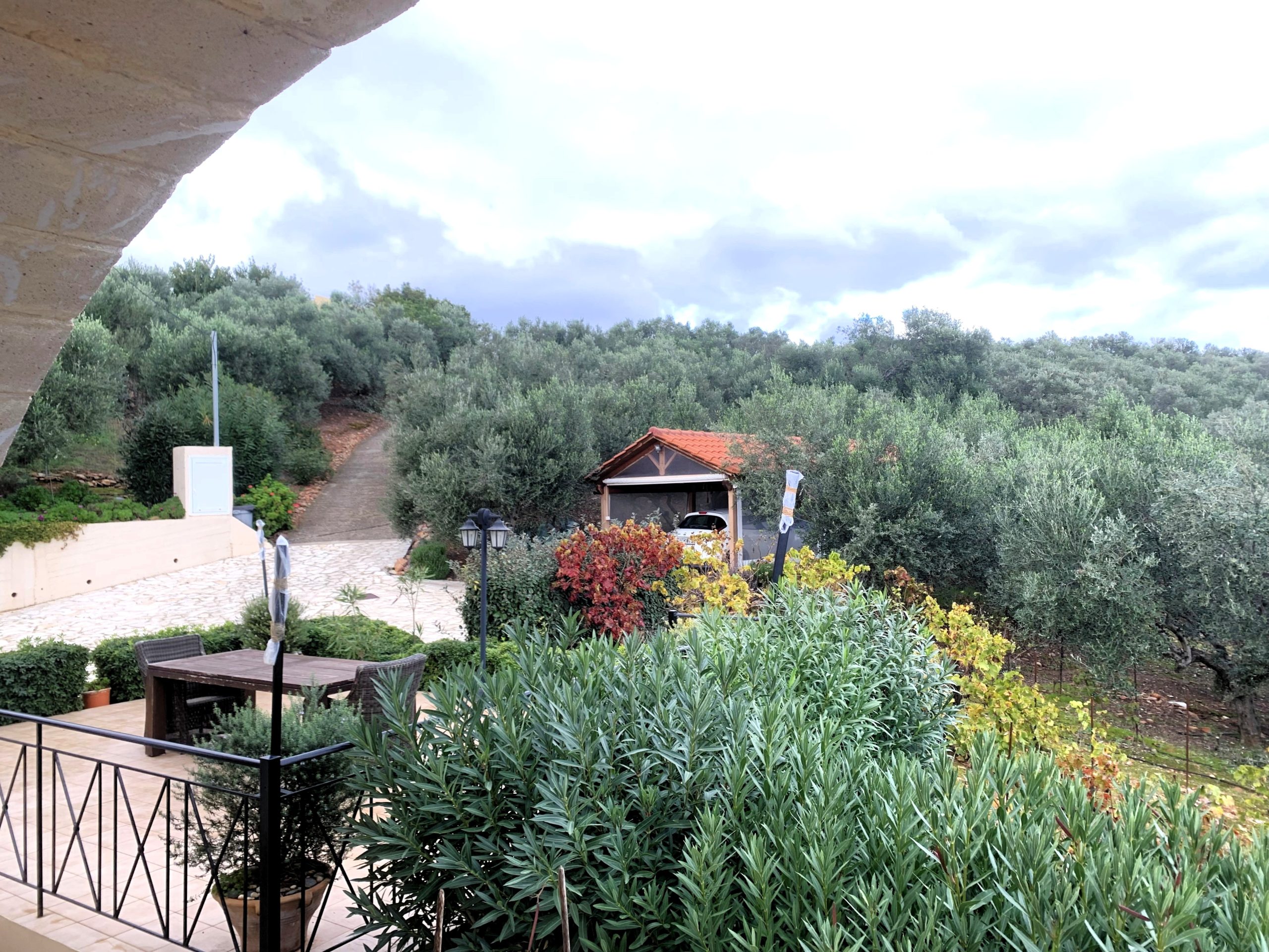 Bagordakis and Partners