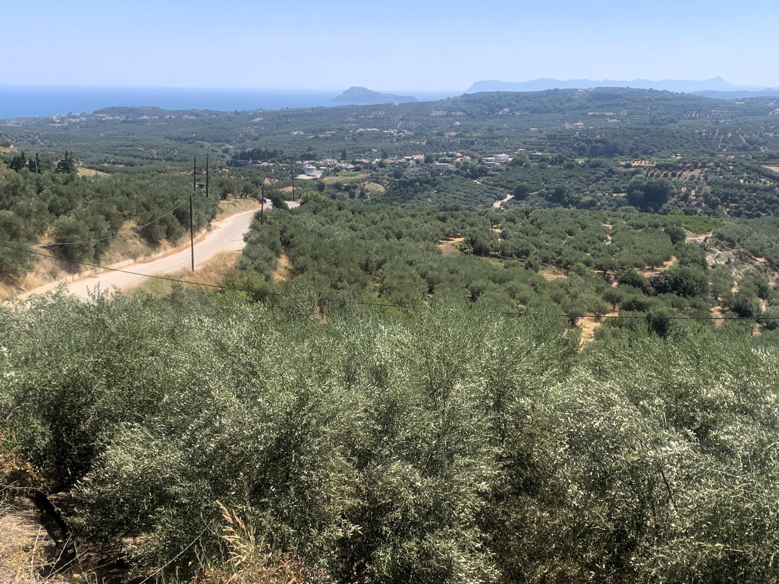 Bagordakis and Partners