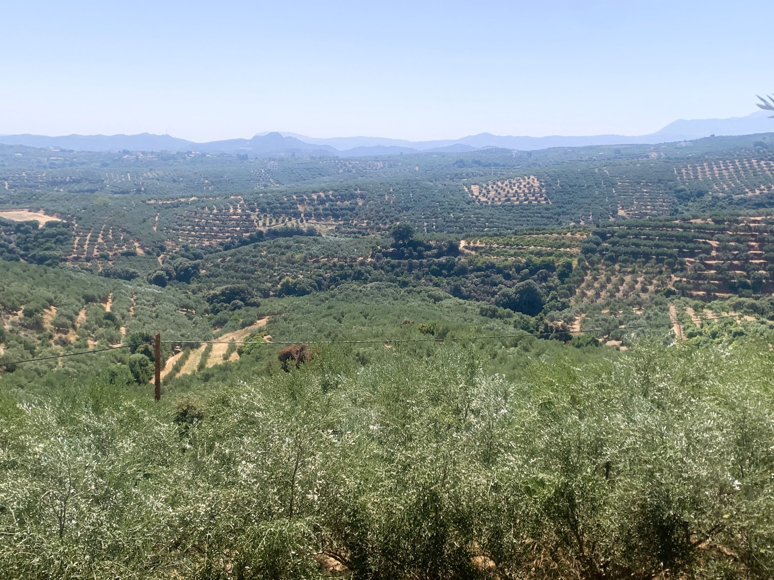 Bagordakis and Partners