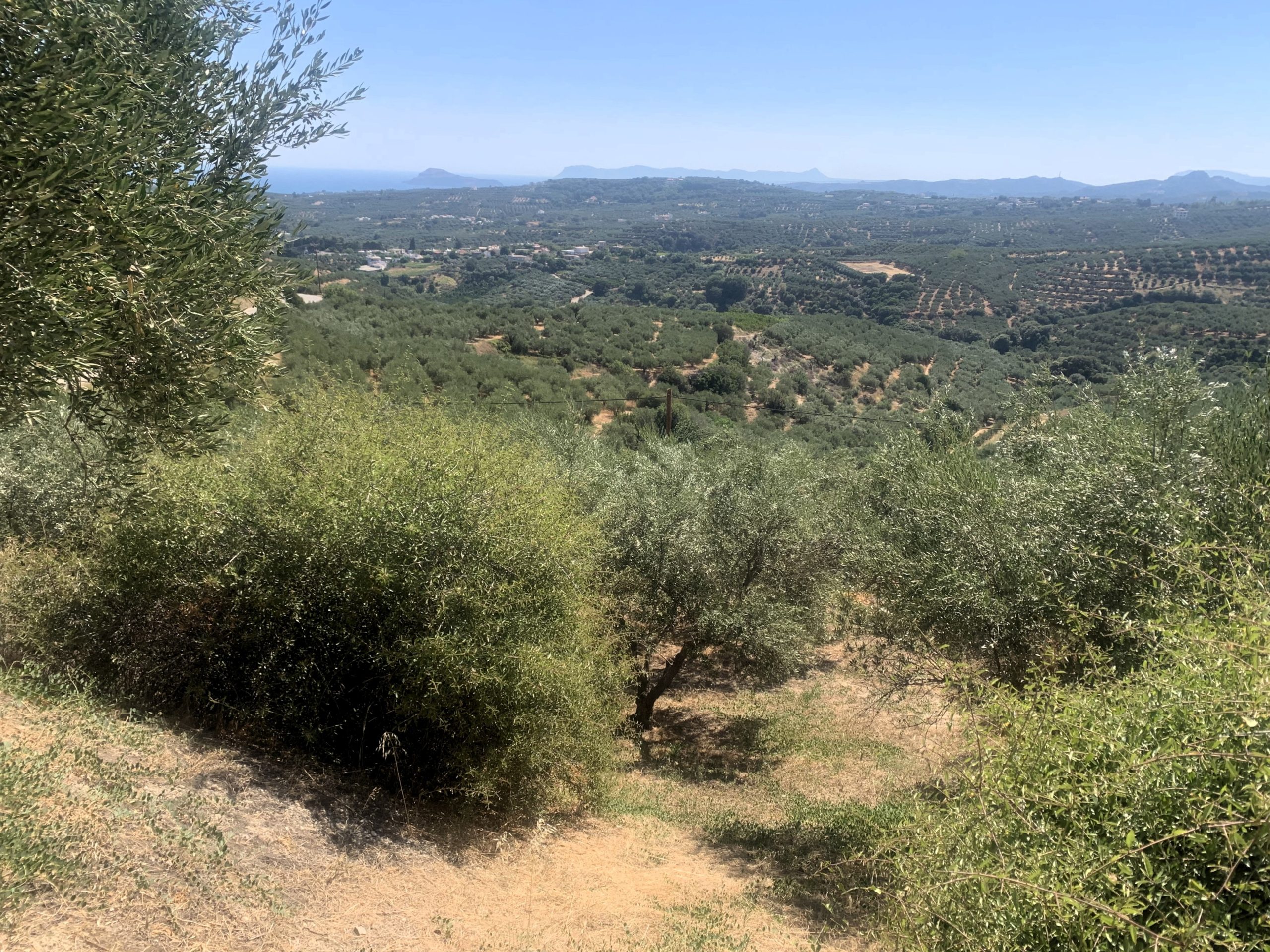 Bagordakis and Partners