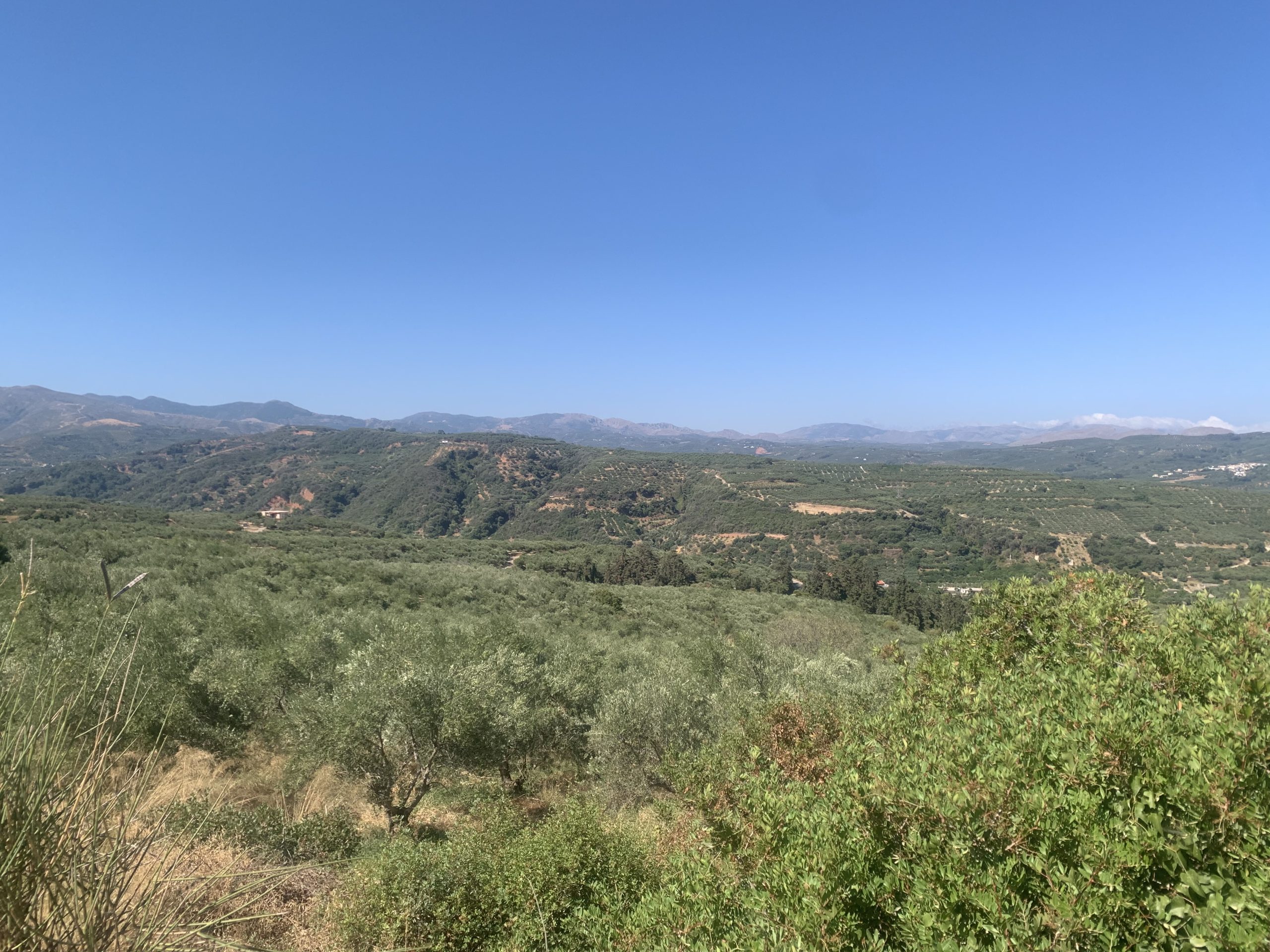 Bagordakis and Partners