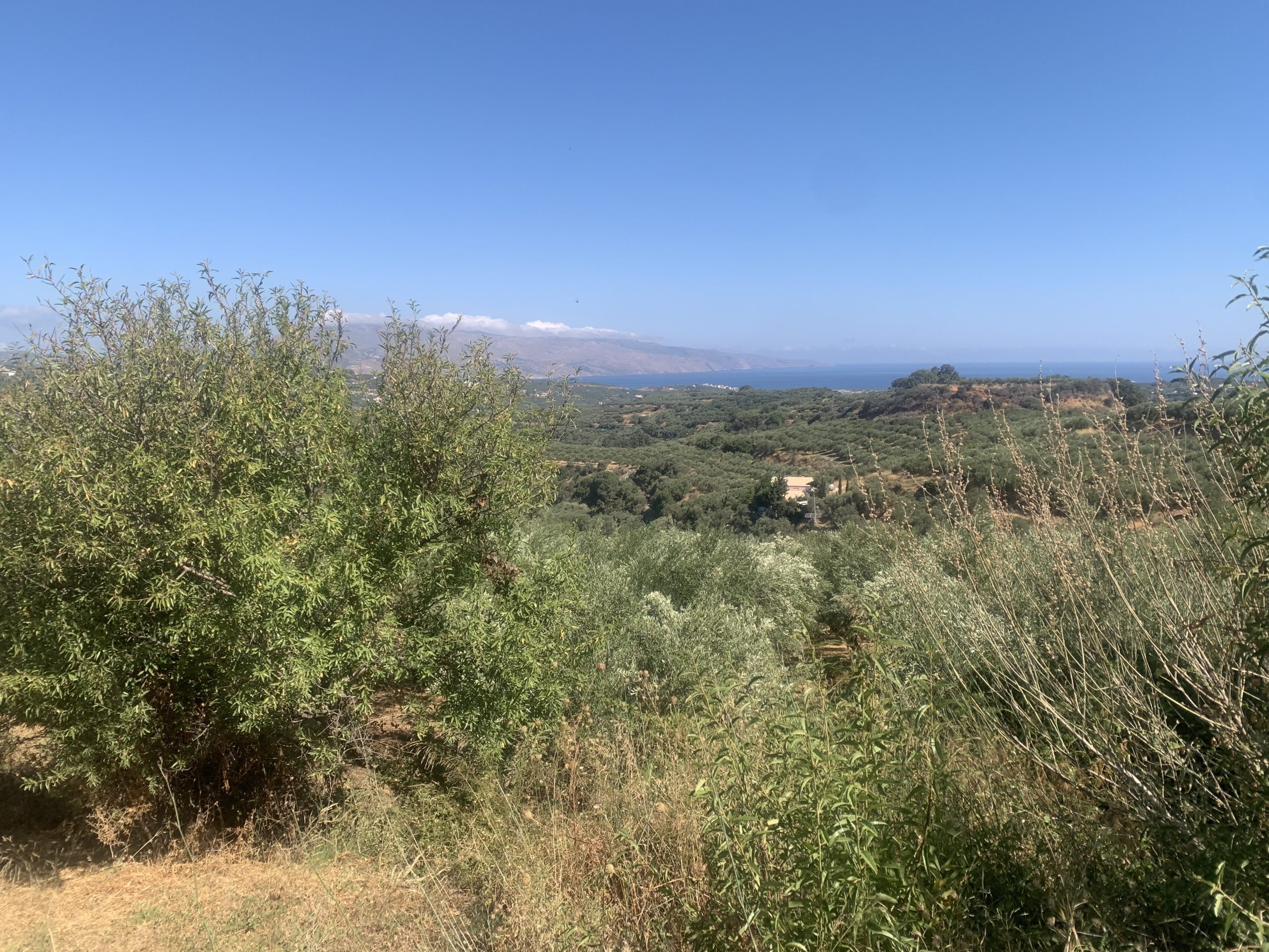 Bagordakis and Partners