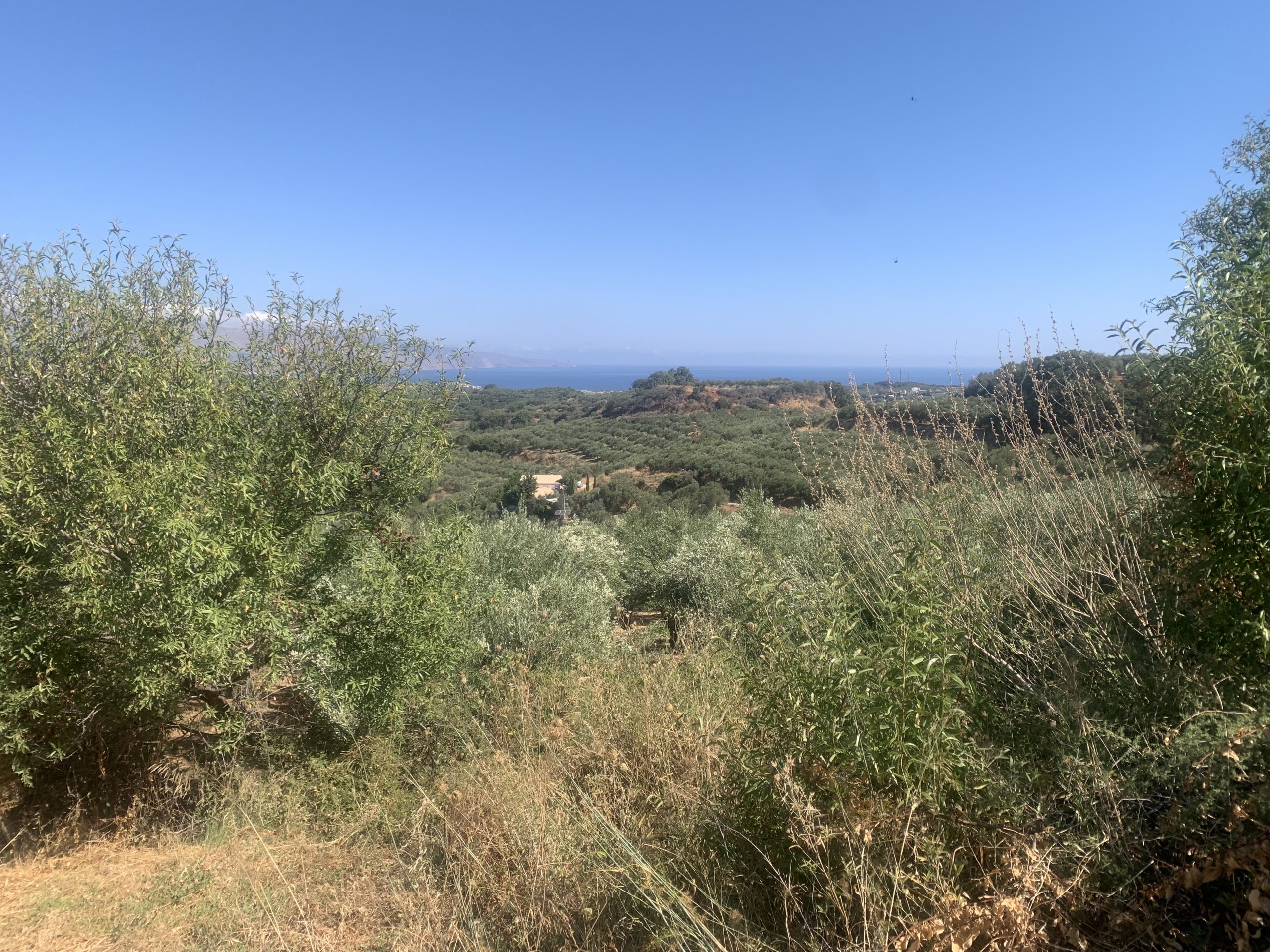 Bagordakis and Partners