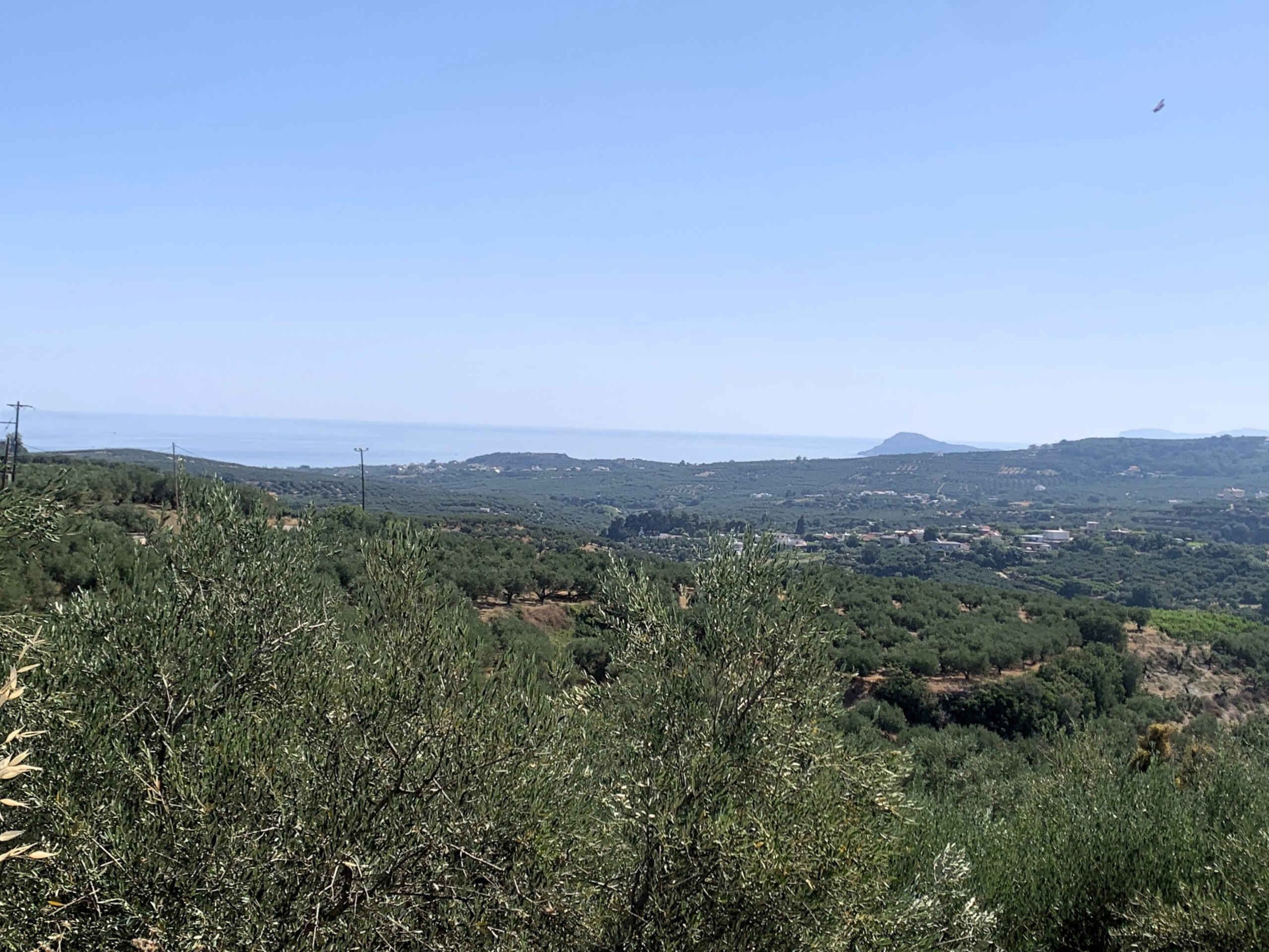 Bagordakis and Partners