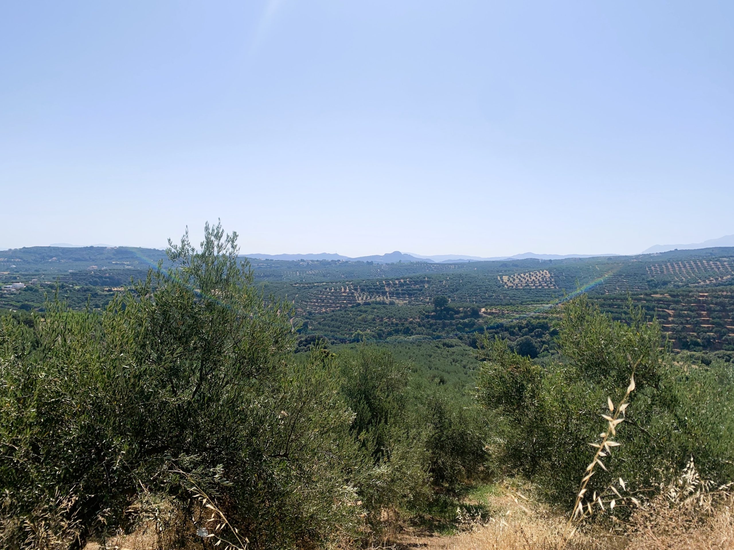 Bagordakis and Partners