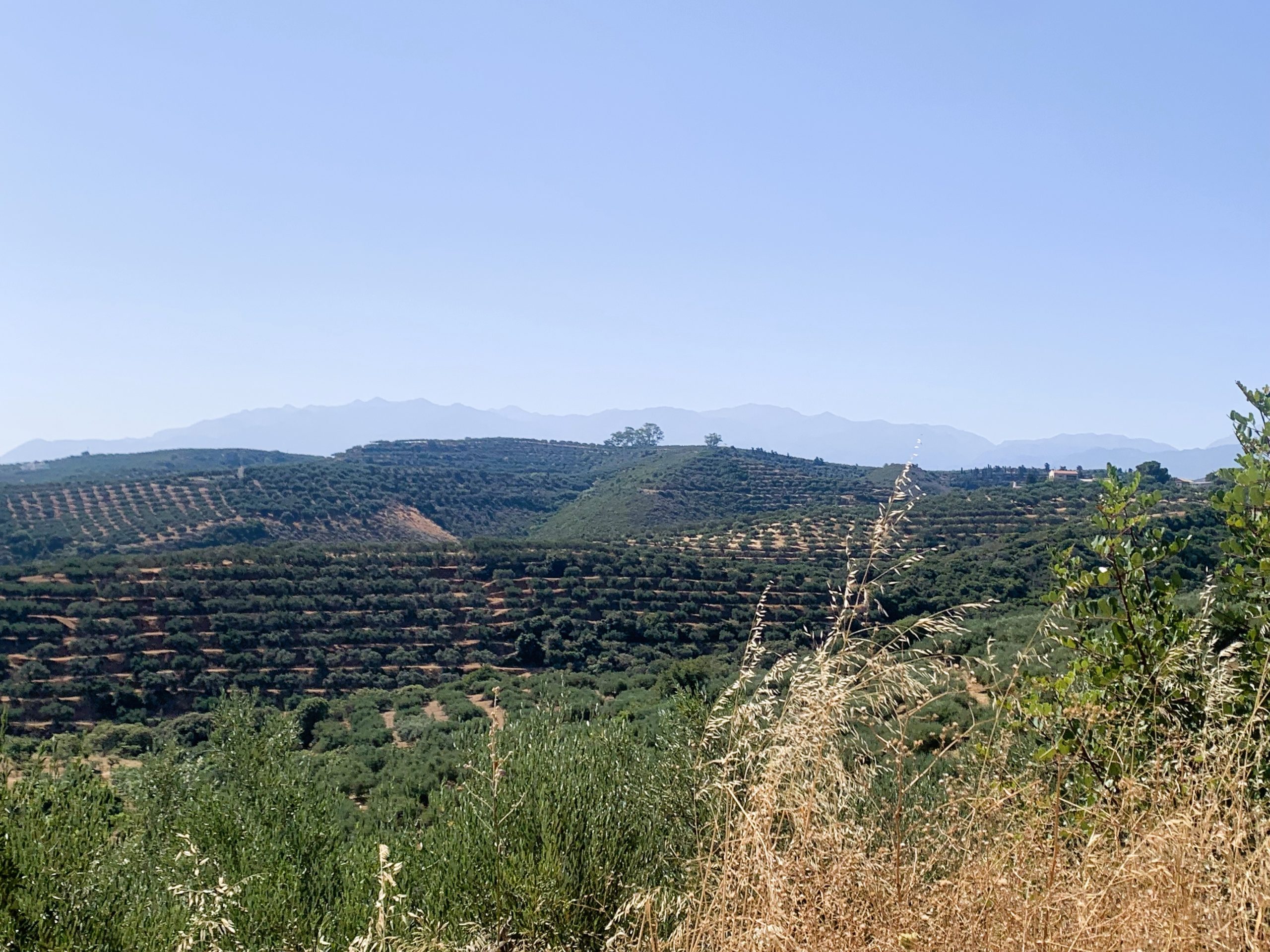 Bagordakis and Partners