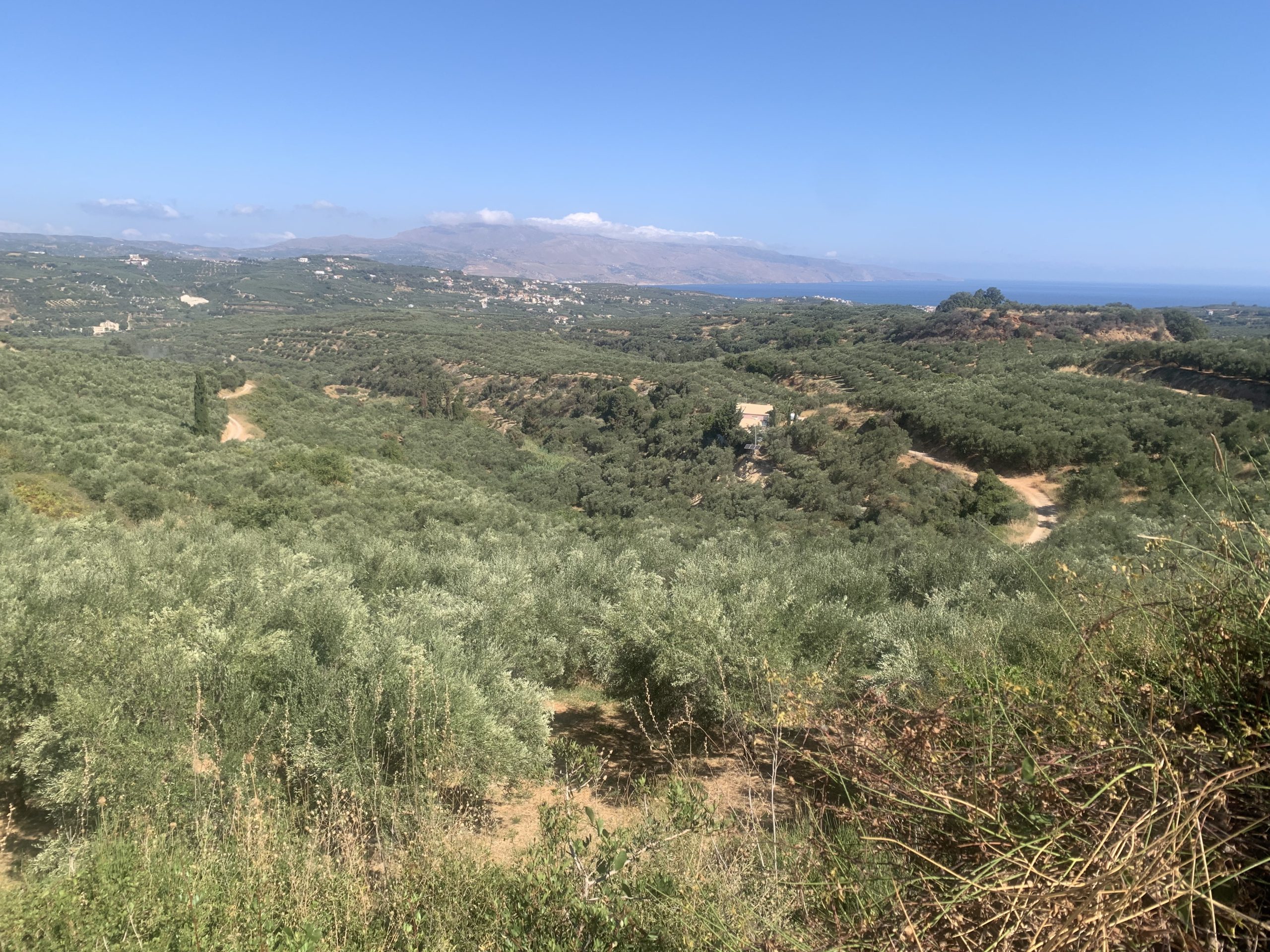 Bagordakis and Partners