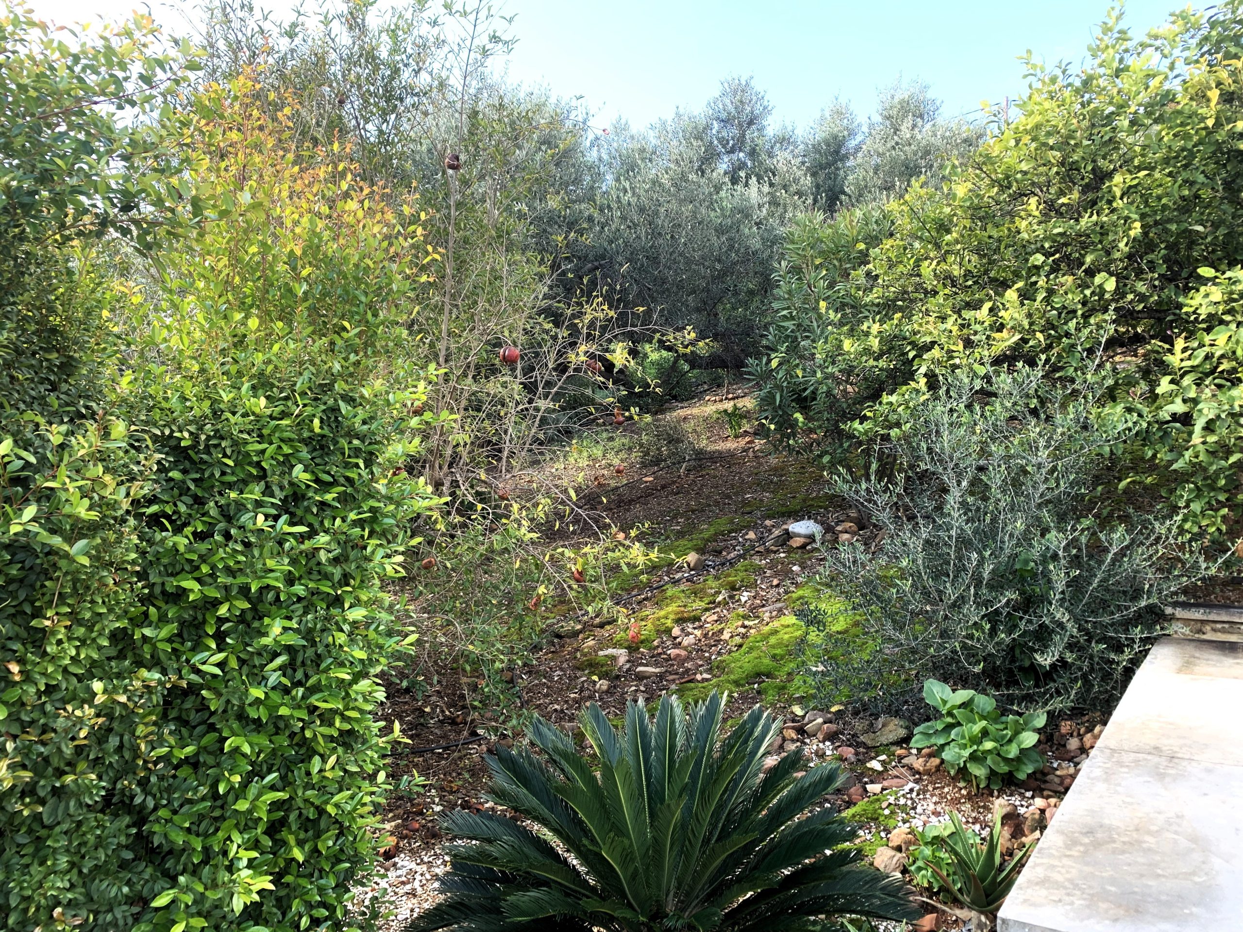 Bagordakis and Partners