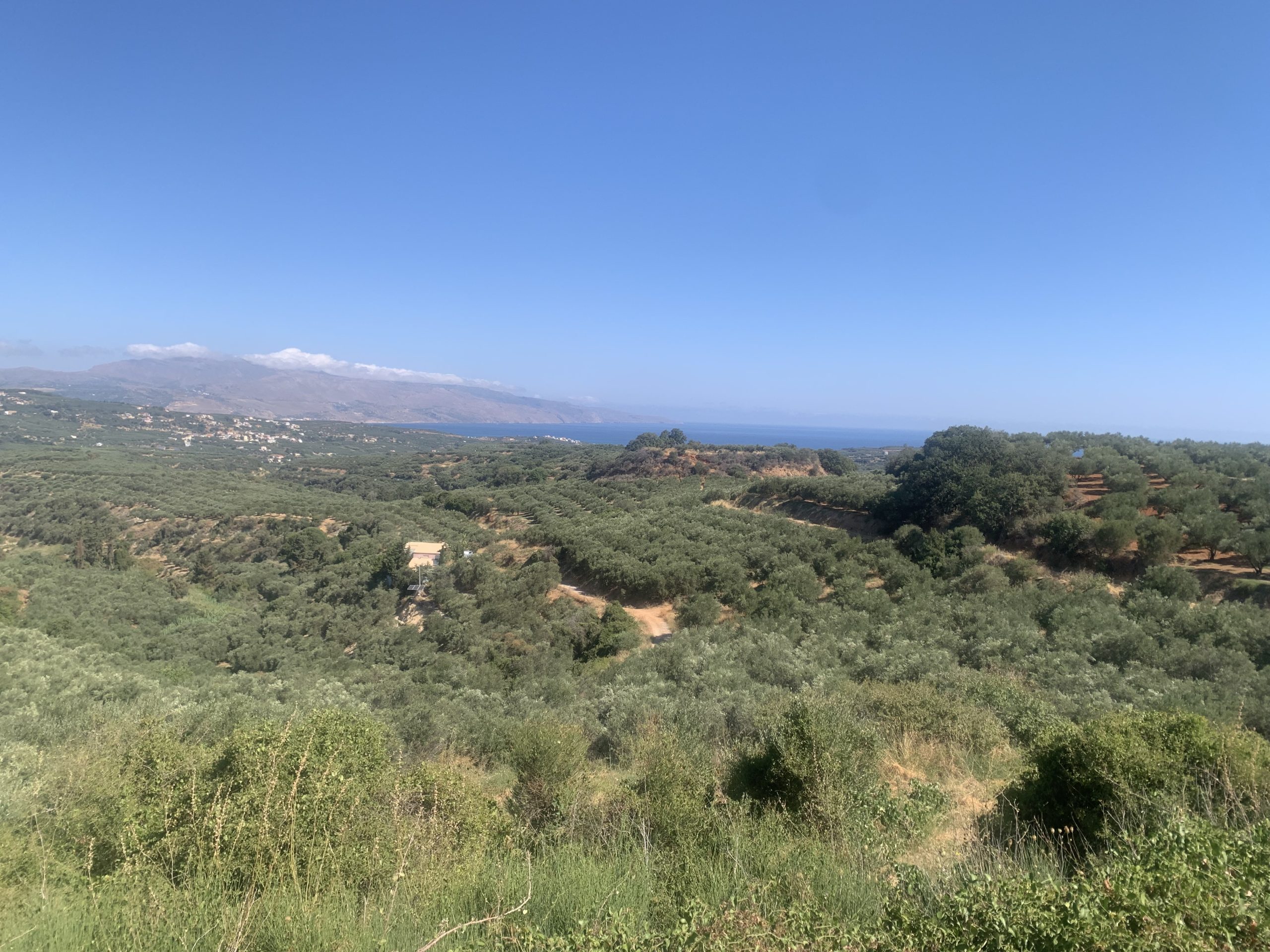 Bagordakis and Partners