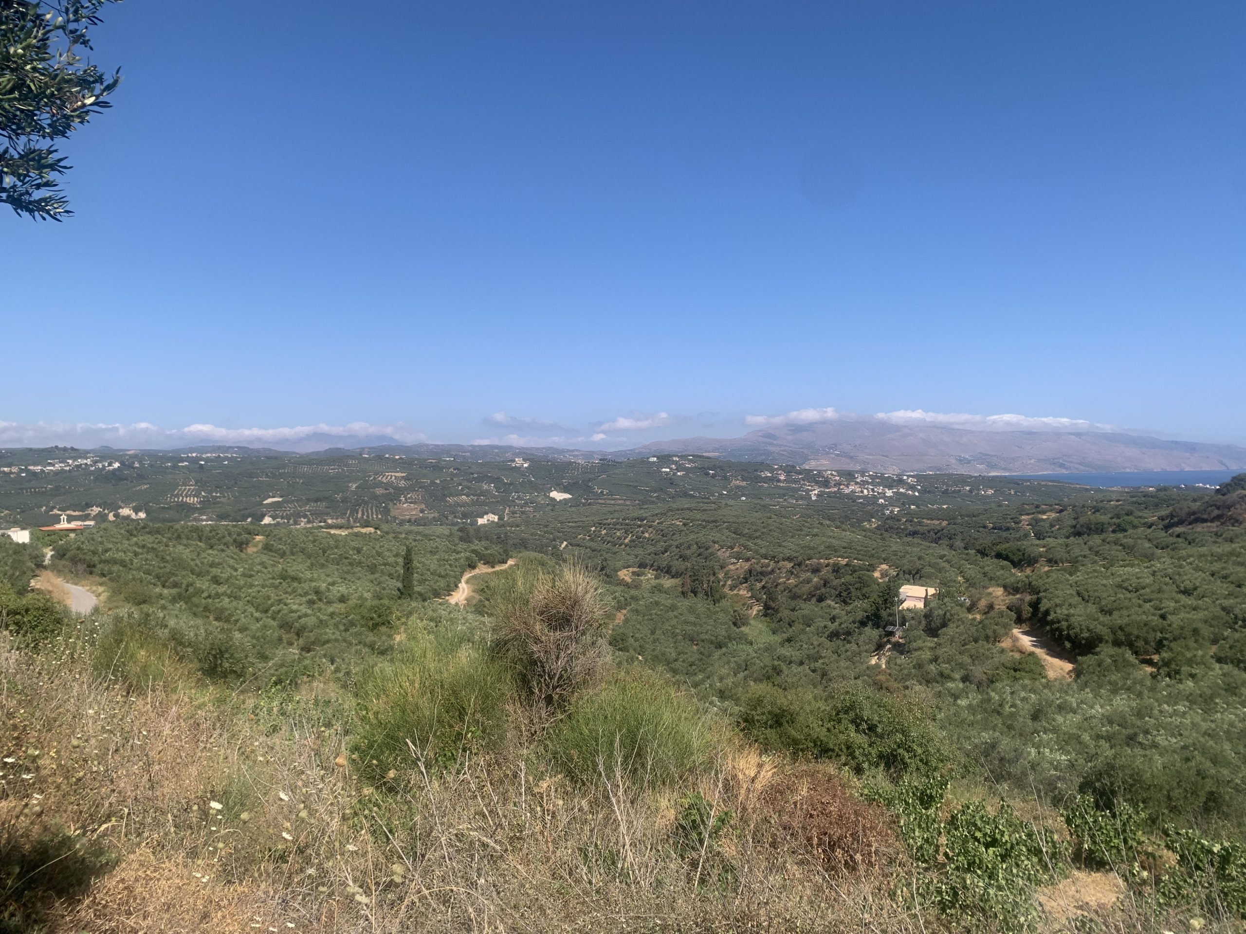 Bagordakis and Partners