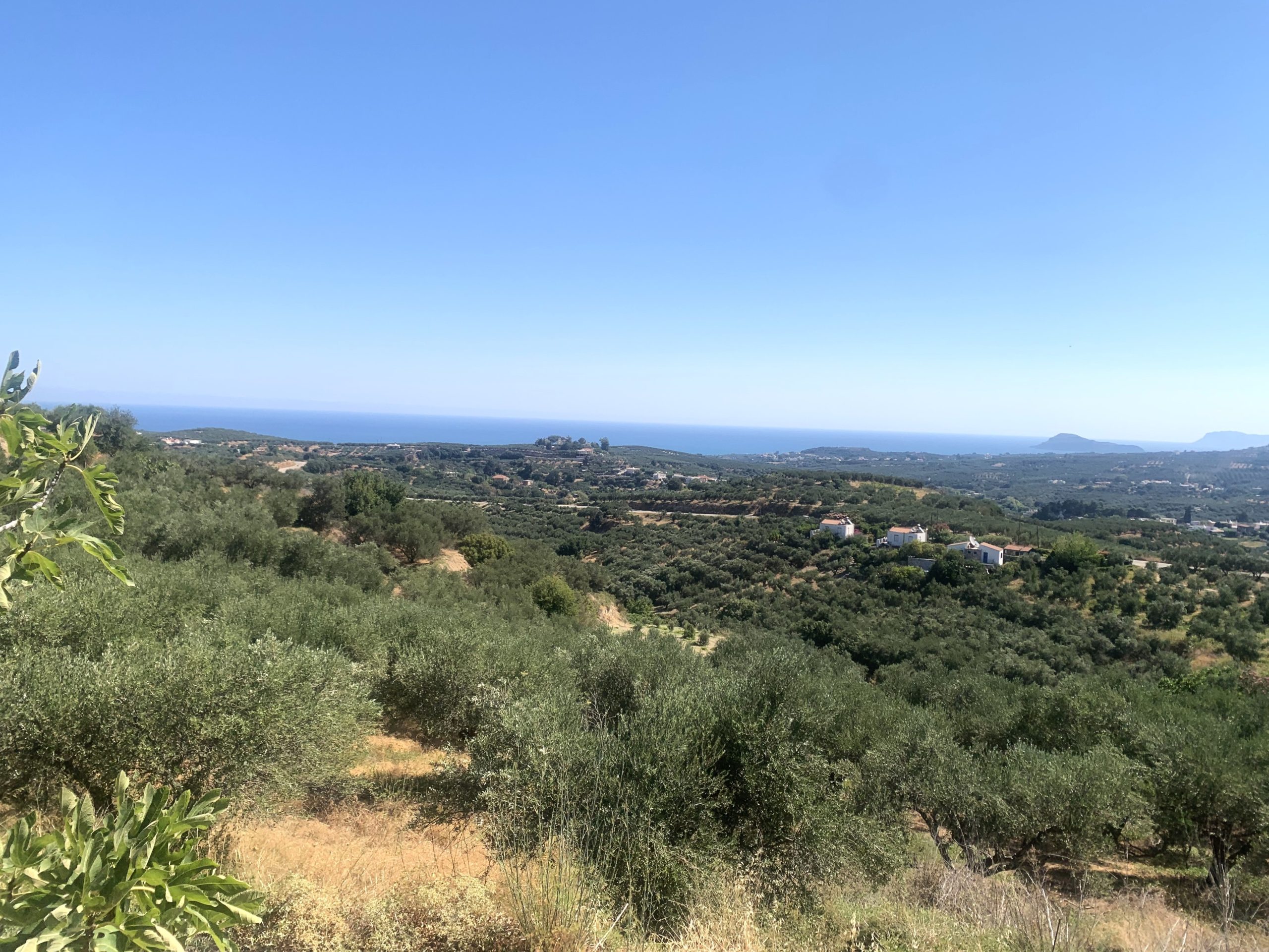 Bagordakis and Partners