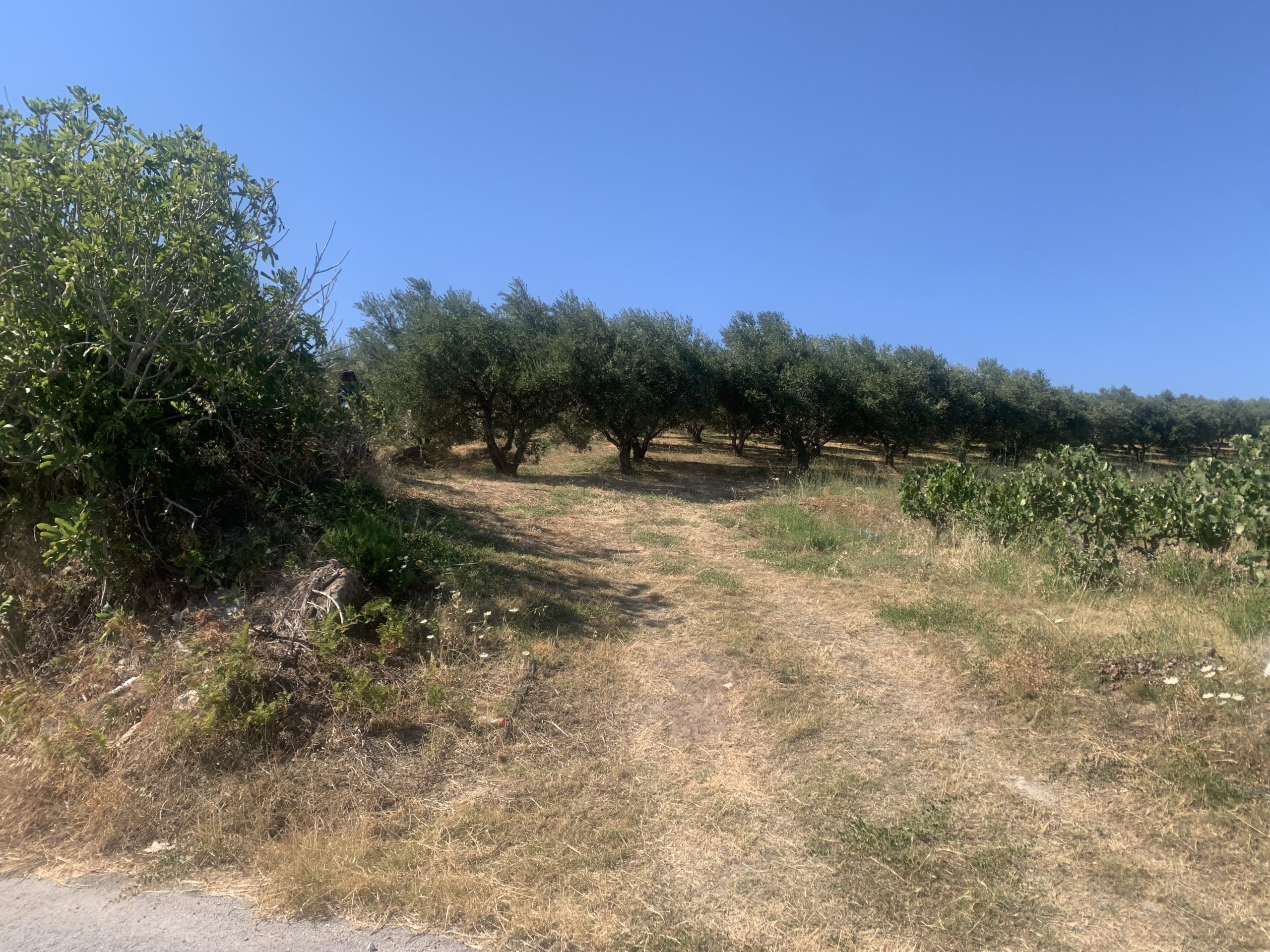 Bagordakis and Partners