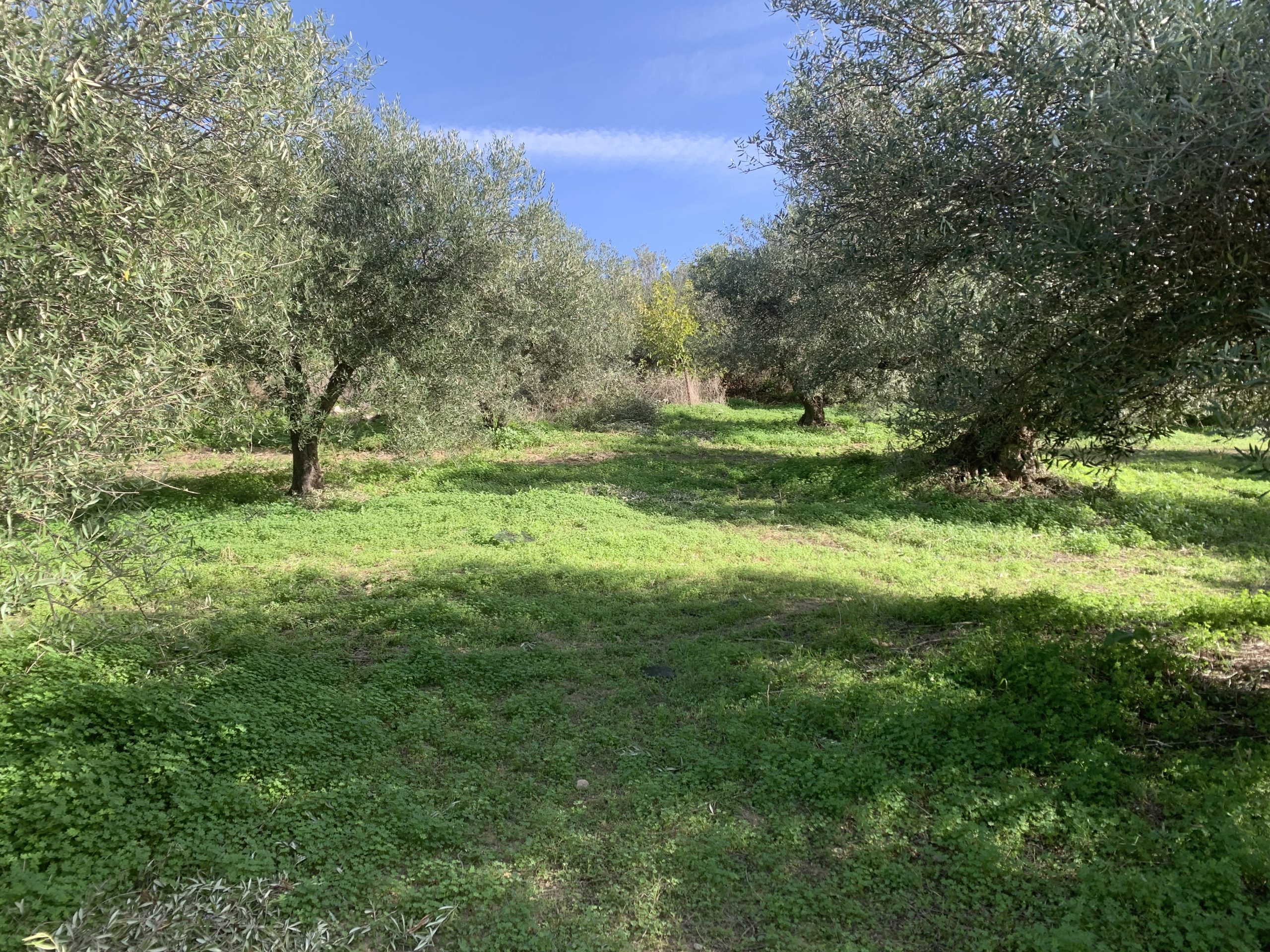 Bagordakis and Partners