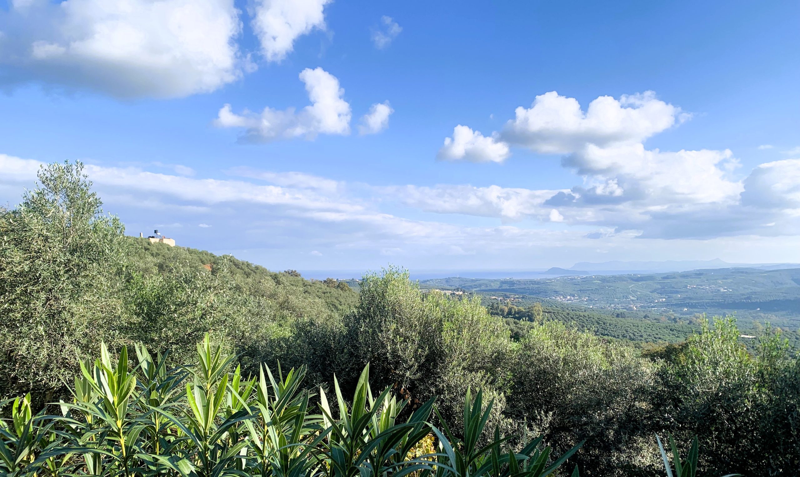 Bagordakis and Partners