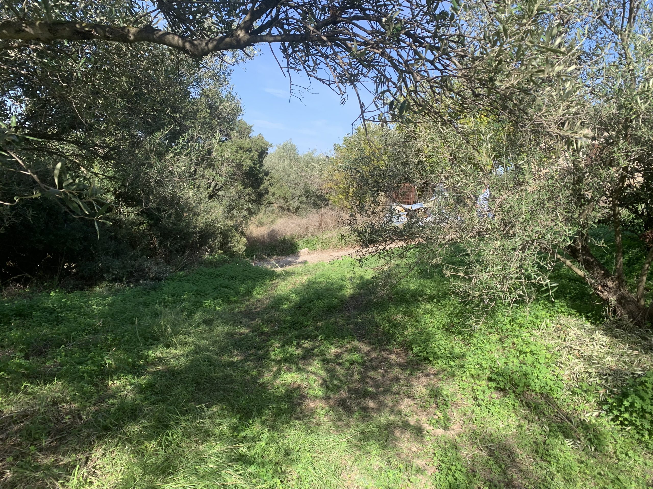 Bagordakis and Partners