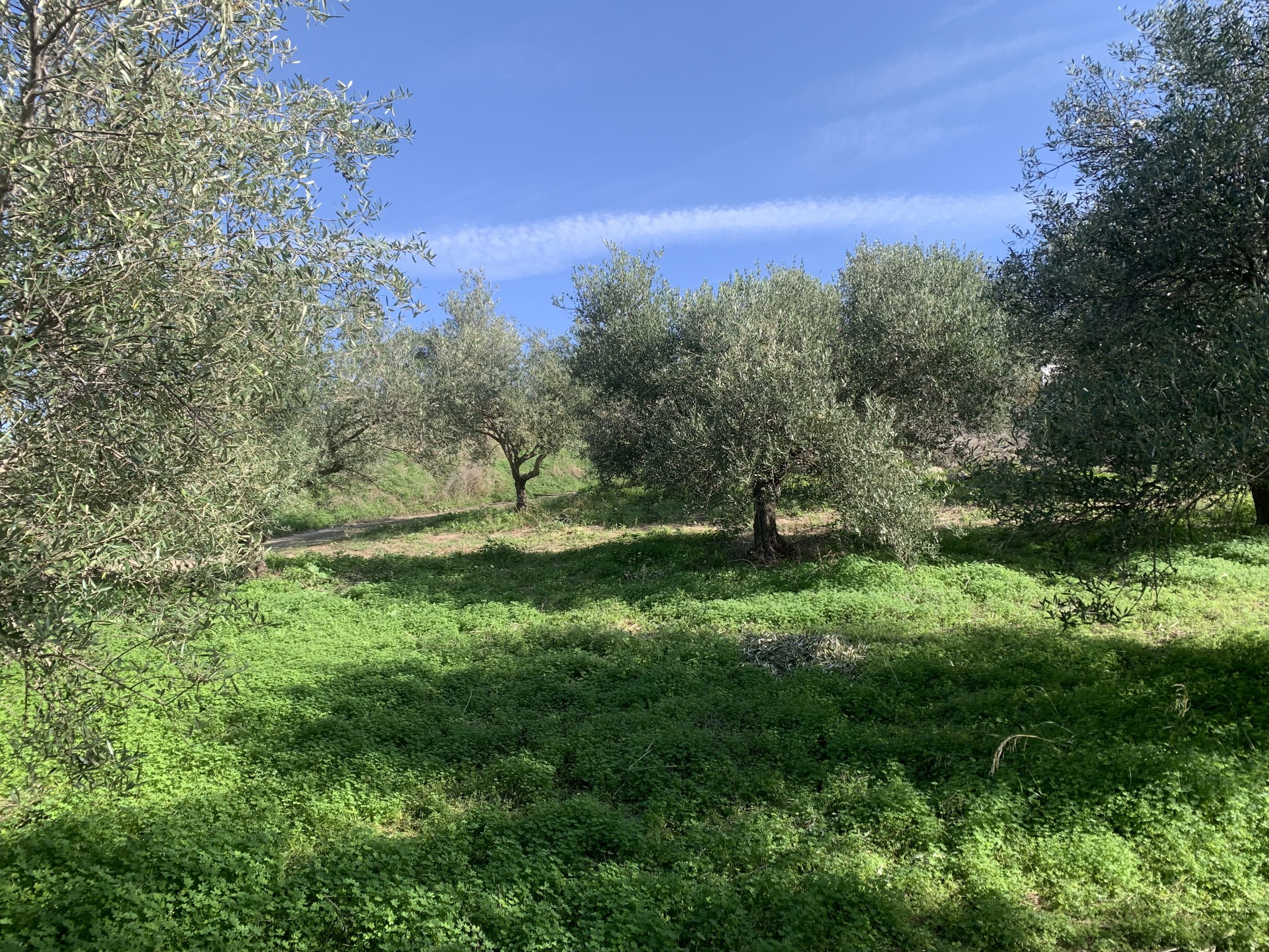 Bagordakis and Partners