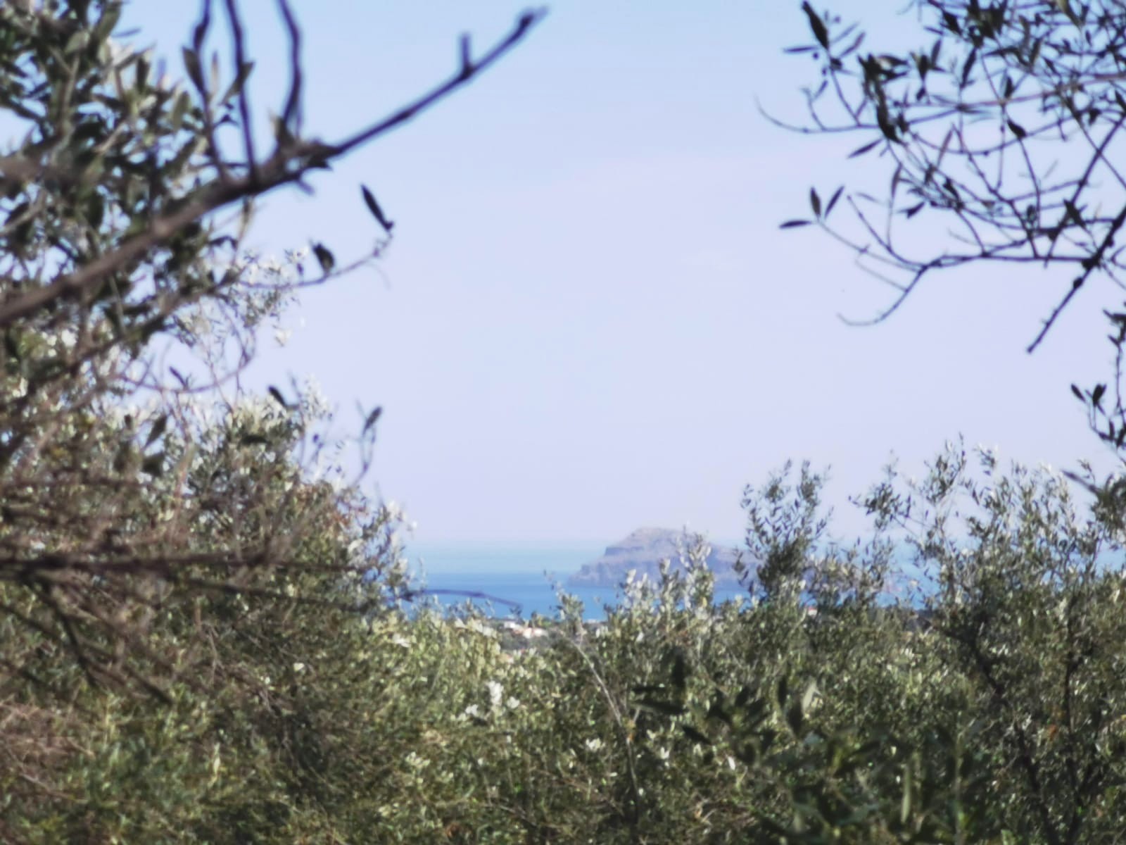 Bagordakis and Partners