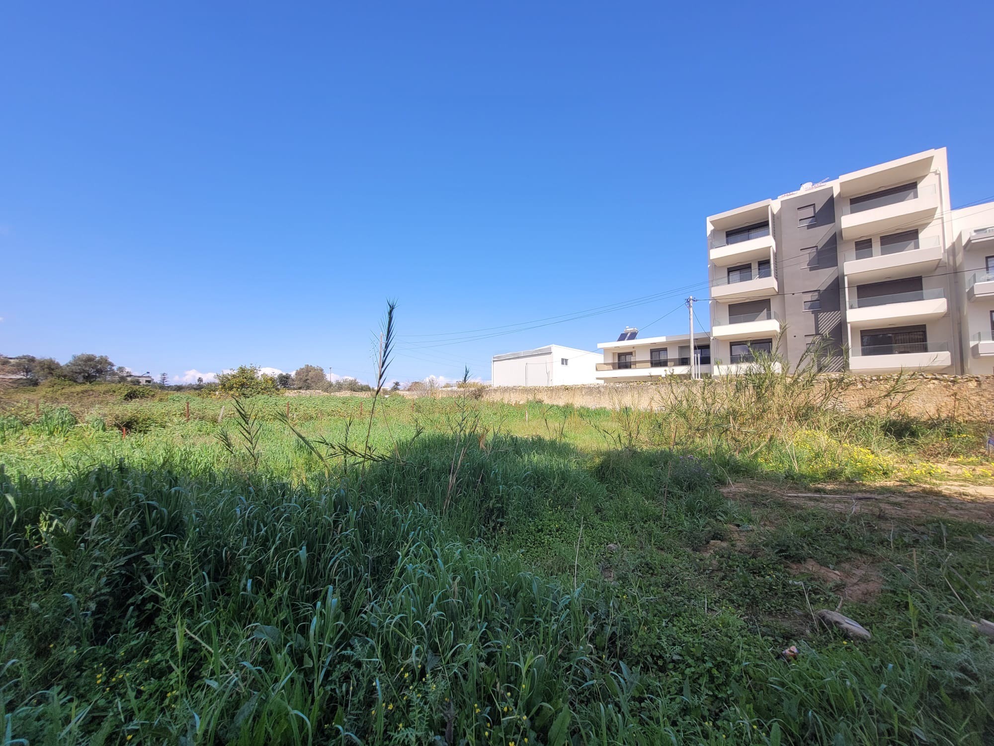 Bagordakis and Partners