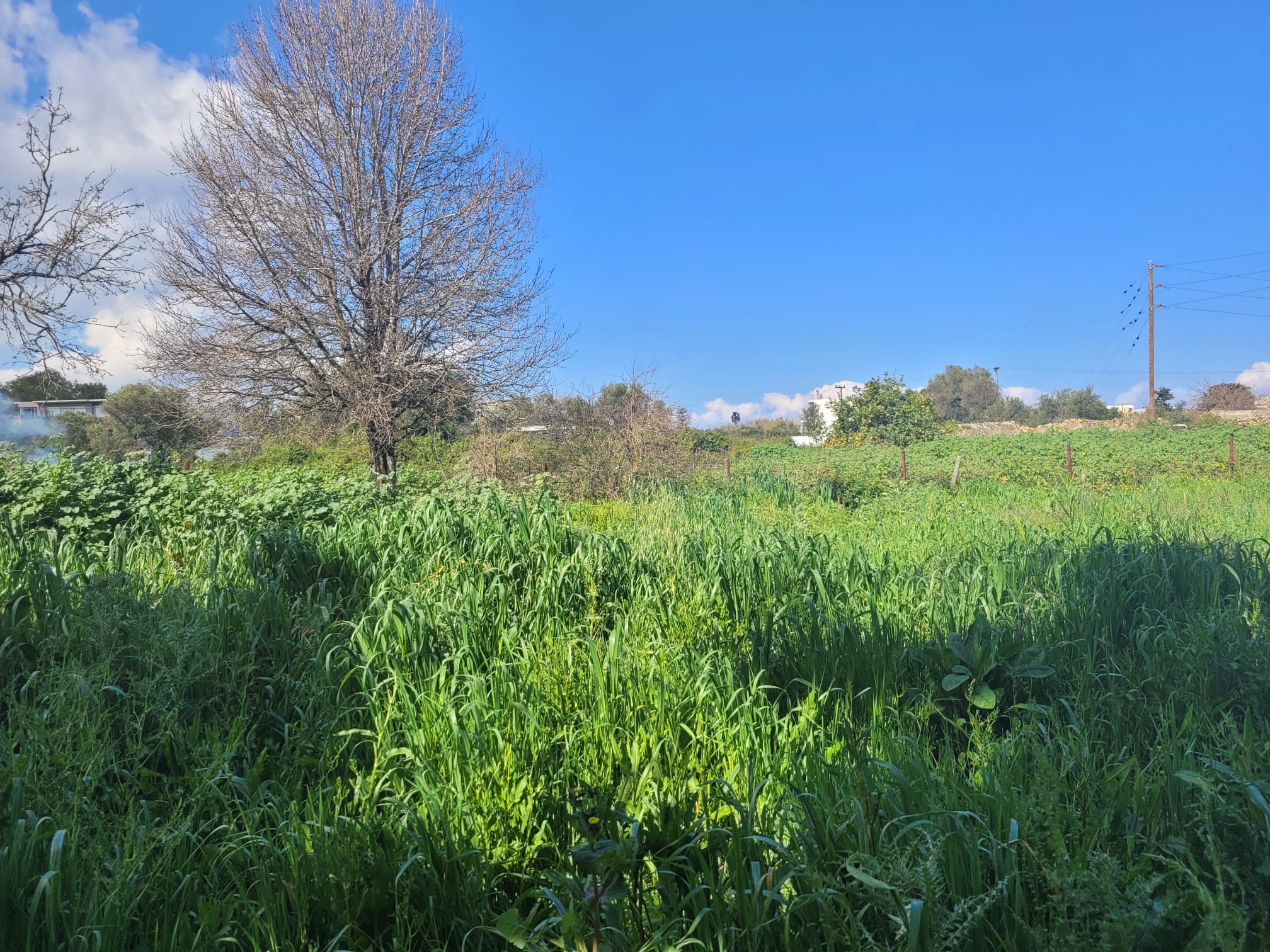 Bagordakis and Partners