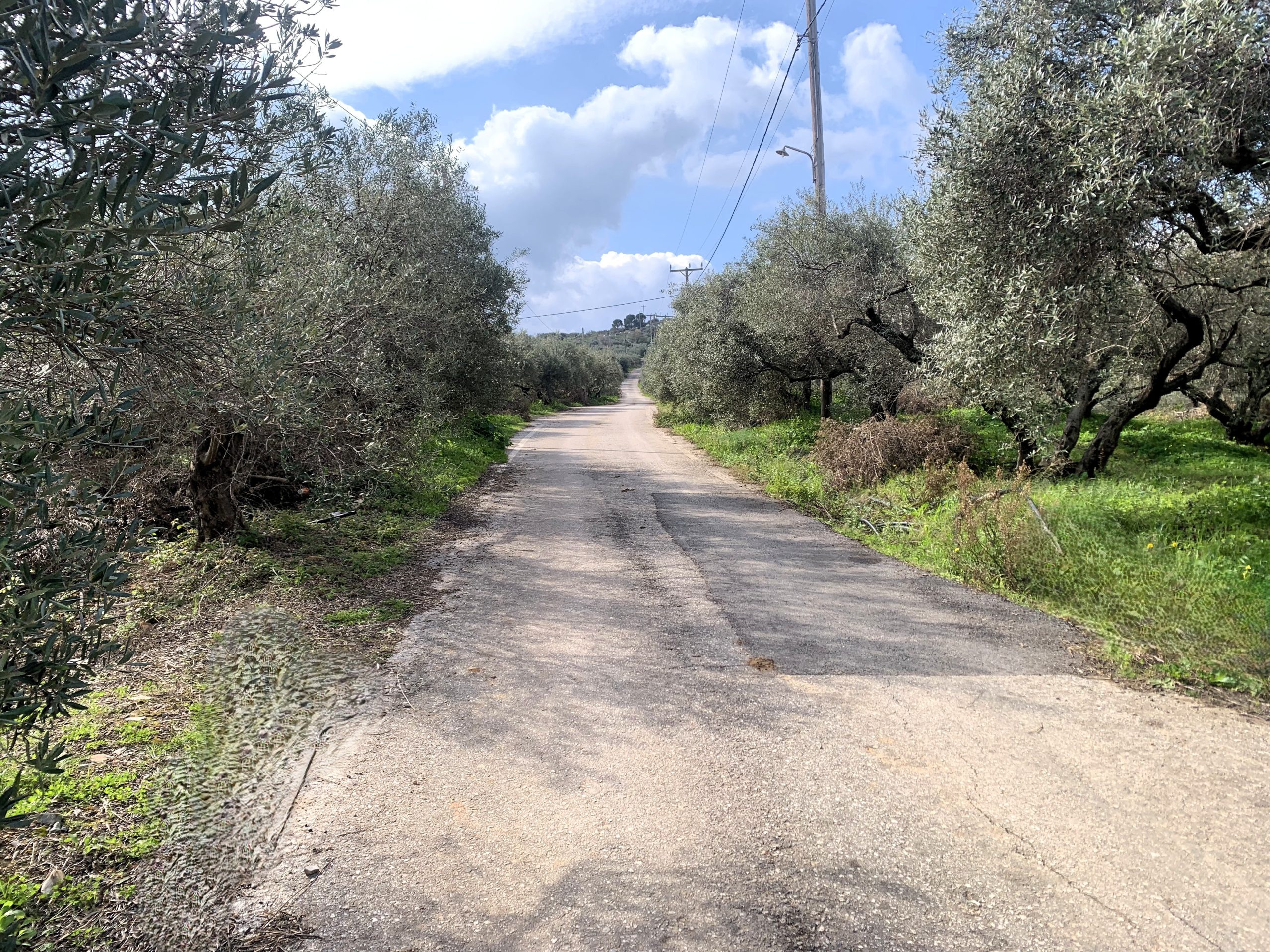 Bagordakis and Partners