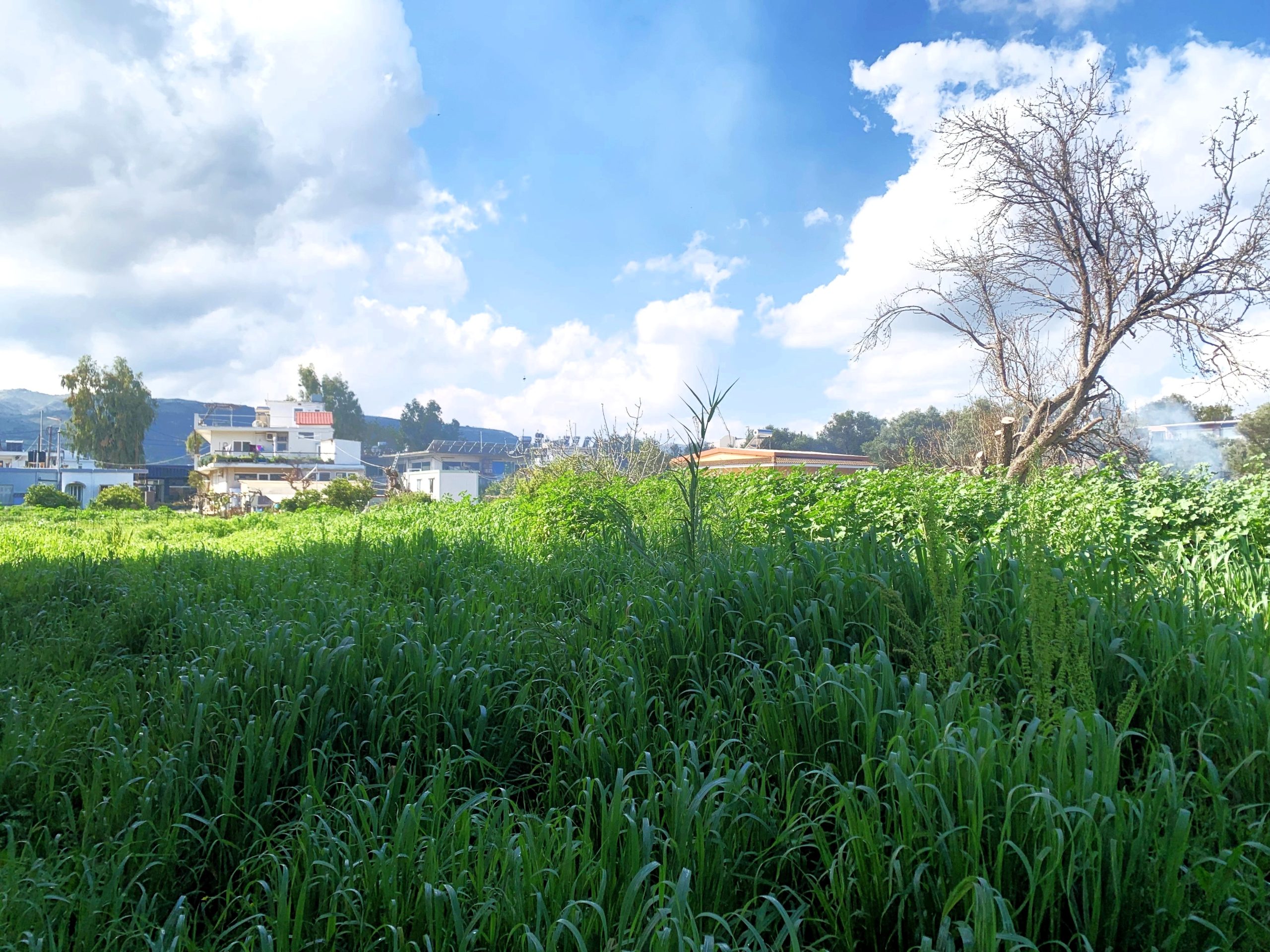 Bagordakis and Partners