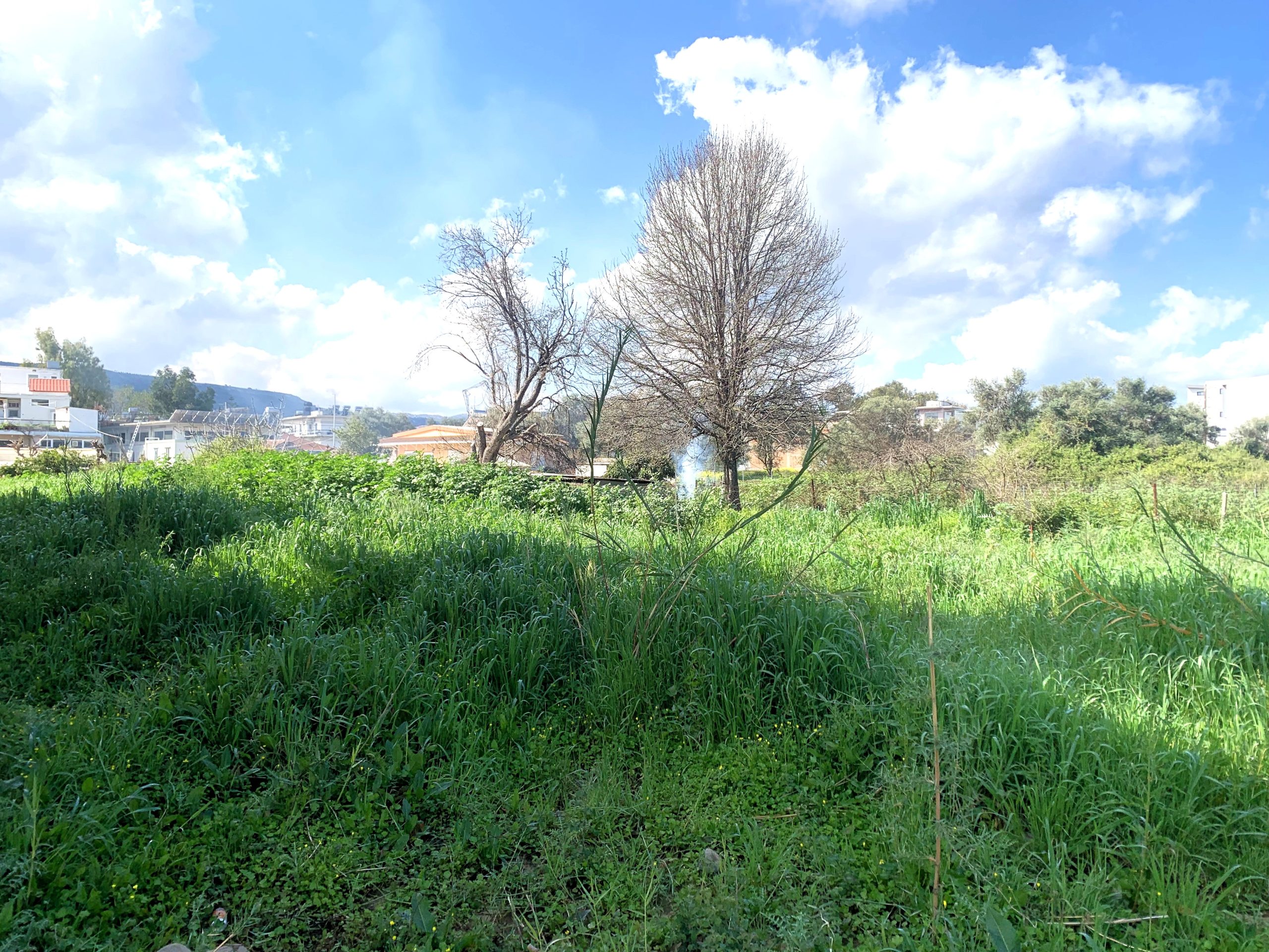 Bagordakis and Partners