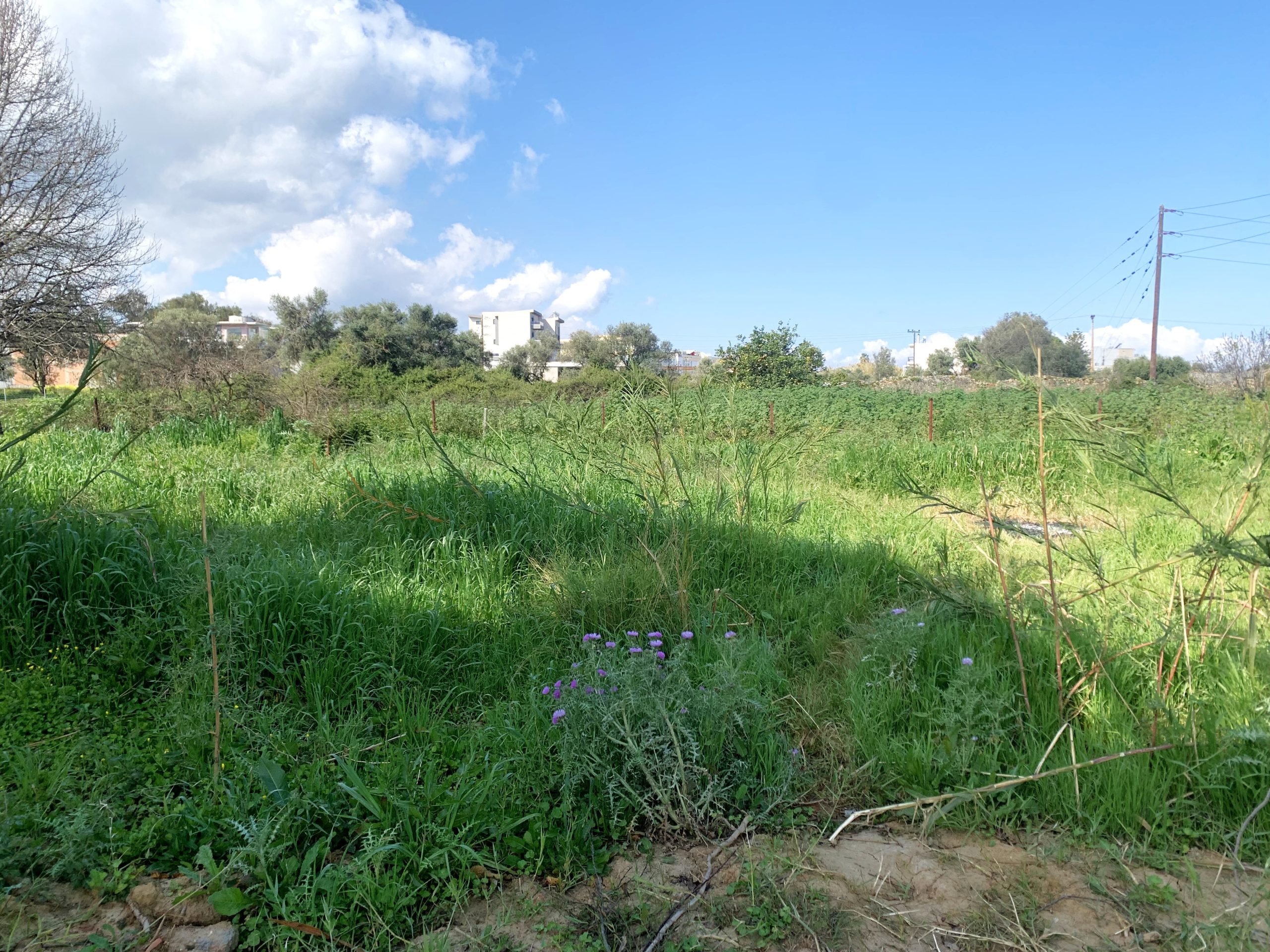 Bagordakis and Partners